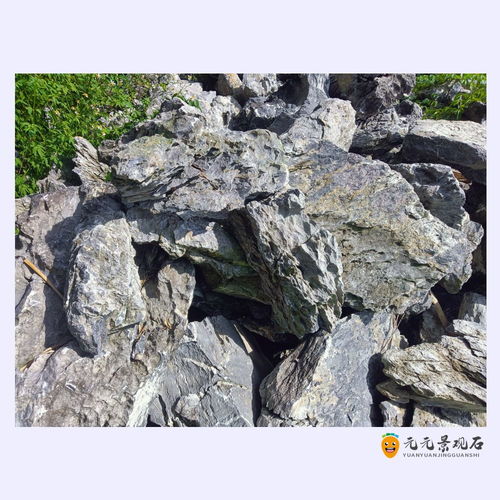 平臺石批發(fā) 深圳平臺石廠家 廣場綠化搭配石圖片