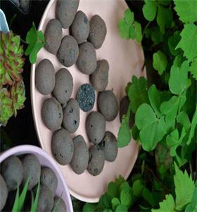 安陸水處理陶粒參考價格產(chǎn)品質(zhì)量好