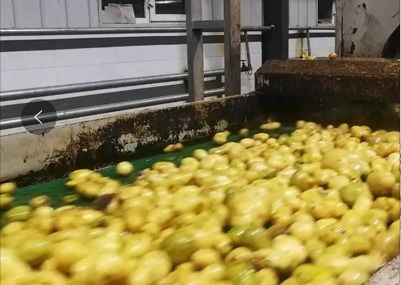 春季開(kāi)工背景下 馬鈴薯淀粉與工程陶粒價(jià)格走勢(shì)分析