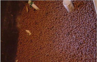 深圳哪家建材廠家工程陶粒報(bào)價(jià)較低？采購(gòu)指南與廠家推薦